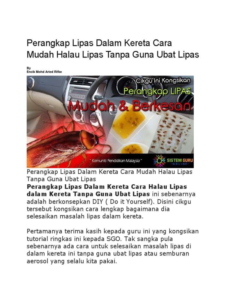 Perangkap Lipas Dalam Kereta Cara Mudah Halau Lipas Tanpa Guna Ubat Lipas