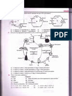 36 PDF