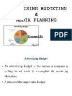 Advertising Budgeting & Media Planning: Nijaz N