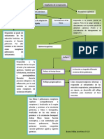 Regulacion de La Respiracion 2