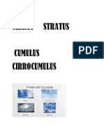 Cirrus Stratus