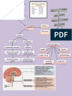 Frecuencia Cardiaca