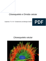 Genes e Cromossomos