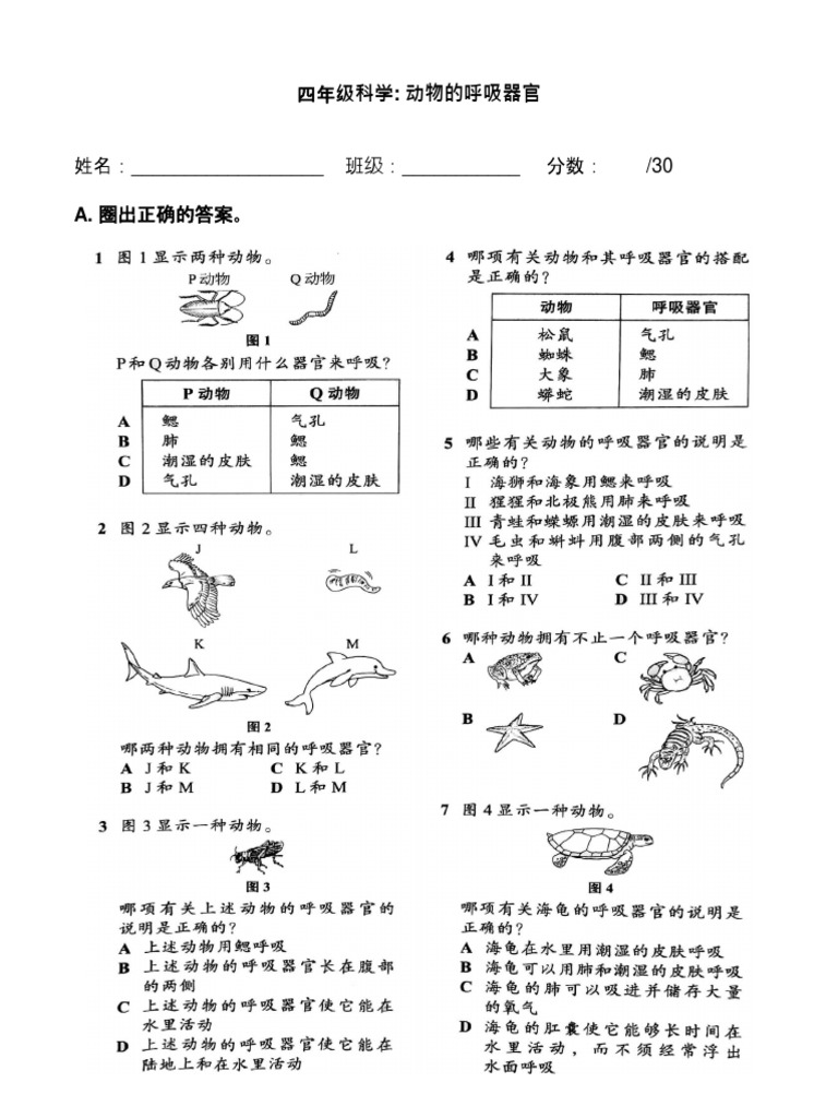 活动卷 三