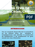 Cultivo de Microalgas