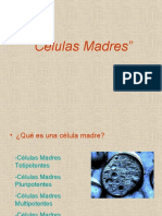 Presentación Biología Células Madres(1)