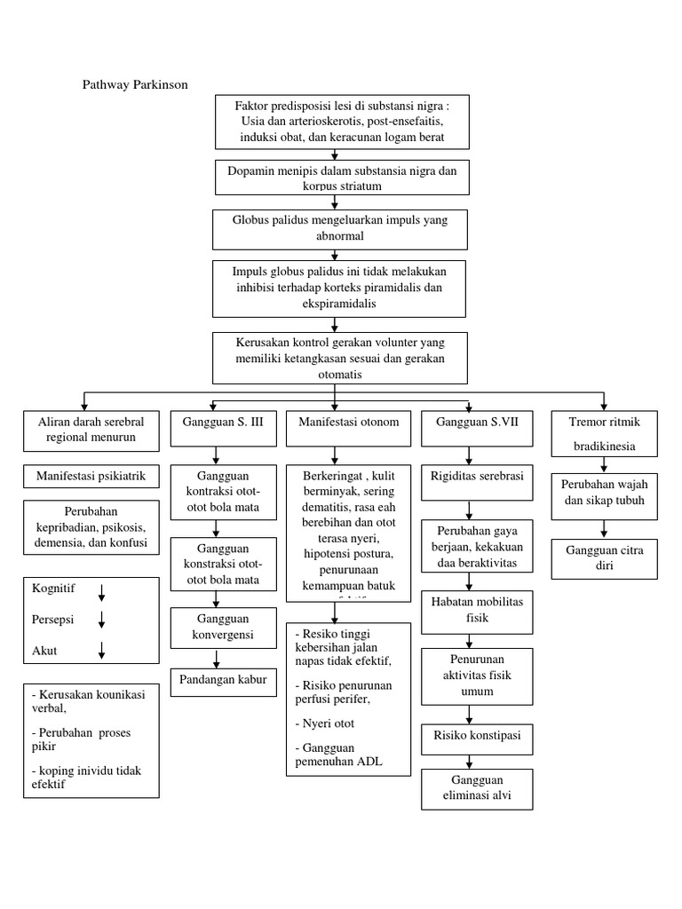 Pathway Parkinson | PDF