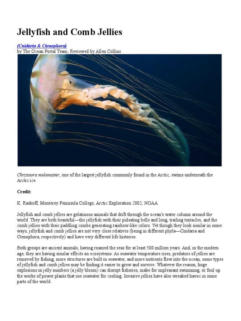 Jellyfish and Comb Jellies PDF Spawn (Biology) Organisms
