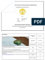 Laporan Praktikum 2 Paiyan Pandiangan (1506723313)