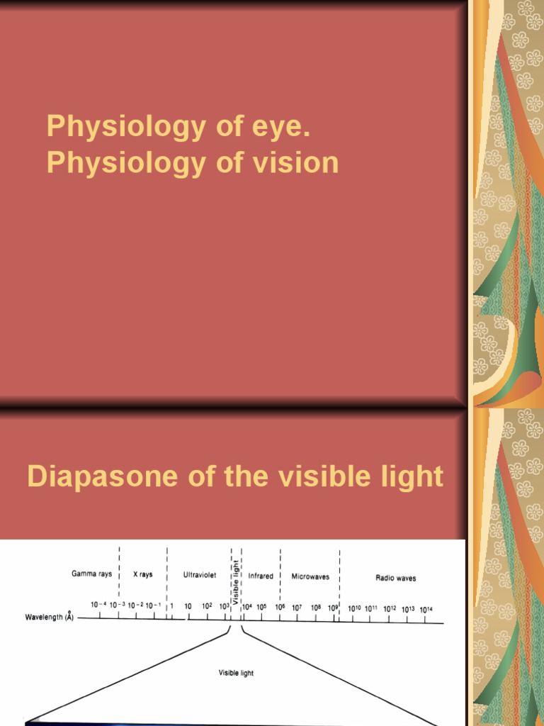 Physiology of Eye and Vision Explained | PDF | Human Eye | Visual System