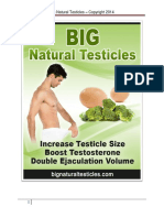 Big Testicles Ebook PDF