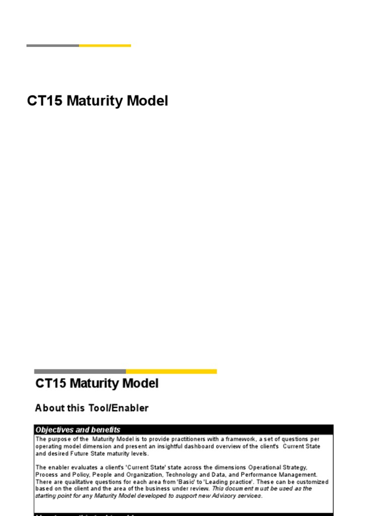 Maturity Model | PDF | Strategic Management | Business Process