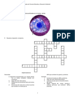 Nucleo Celular Examen