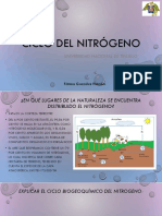 Ciclo Del Nitrogeno Diapositivas