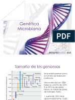 FM Genetica Microbiana