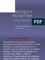 BRUCELLA y Rickettsia - Copia