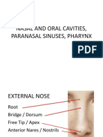 Nasal and Oral Cavities, Paranasal Sinuses, Pharynx