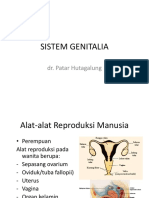 Sistem Genitalia