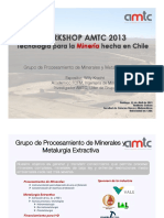 AMTC Procesamiento de Minerales y Metalurgia Extractiva PDF