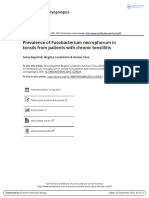 Prevalence of Fusobacterium Necrophorum in Tonsils From Patients With Chronic Tonsillitis