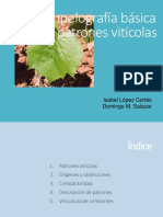 UT5 +patrones+vitícolas