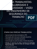 PERÍCIAS TRABALHISTAS - Insalubridade e Periculosidade - Visão Do Engenheiro de Segurança Do Trabalho