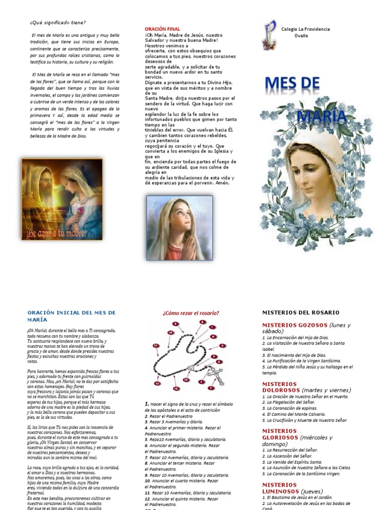 PAPA FRANCISCO INCLUYE TRES INVOCACIONES A LA VIRGEN MARÍA EN LAS LETANÍAS  DEL SANTO ROSARIO. - Diócesis de Querétaro, image size:768x1024