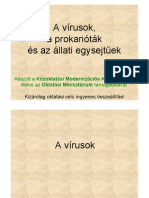 Virusok_egysejtüek