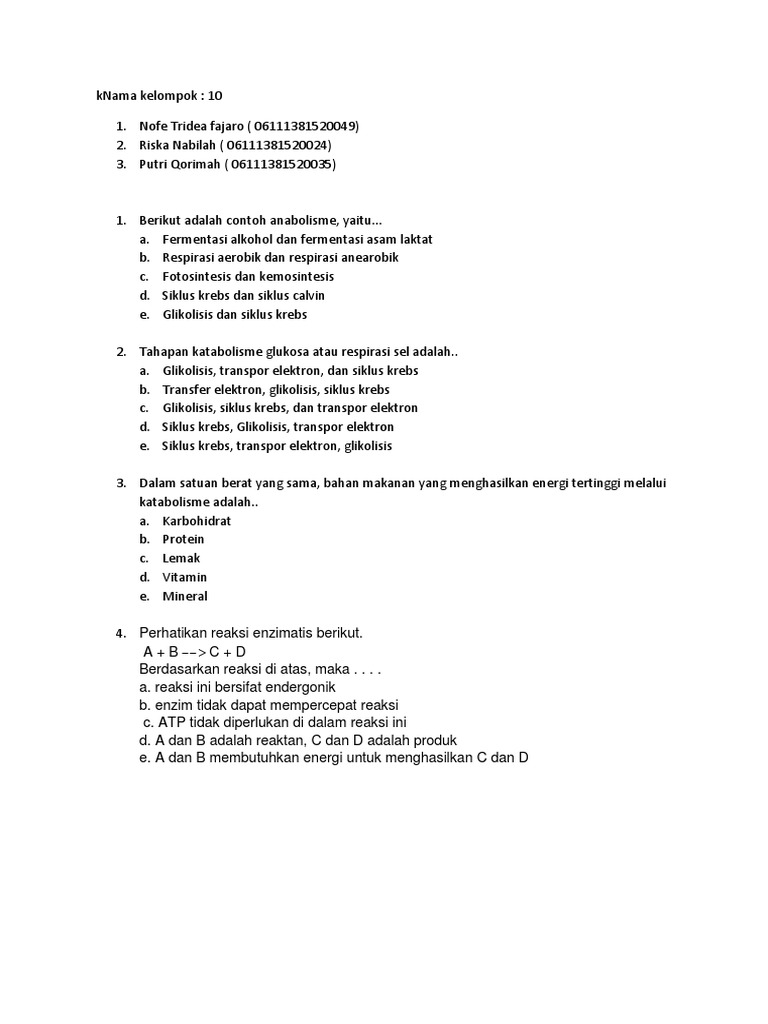 Berikut Adalah Contoh Anabolisme Pdf