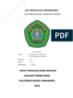 Makalah Kel 1 4A S1 Terapan Saccharomyces Cerevisiae Dan Aspergillus Wentii (Dinda Lestari Dan Erwin Setiawan)