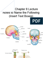 pedro velazquez - skeletal system anatomy