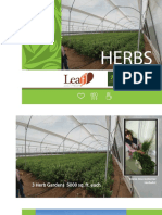 Herbs: Just Fresh