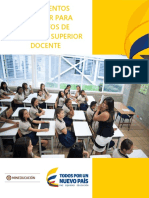 Lineamientos estándar para proyectos FORMACIÓN DOCENTE.pdf