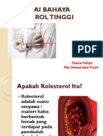 KOLESTEROL-ppt 2