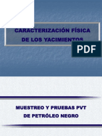 Analisis PVT Muestreo y Validacion.