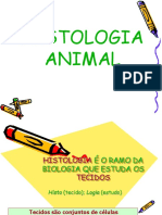 Histologia Animal