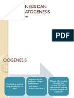 Ueu Paper 6602 4 Oogenesis Dan Spermatogenesis