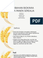 Perubahan Biokim Serealia