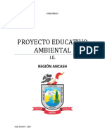 PROYECTO EDUCATIVO AMBIENTAL.docx