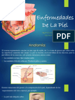 Enfermedades de La Piel - FINAL