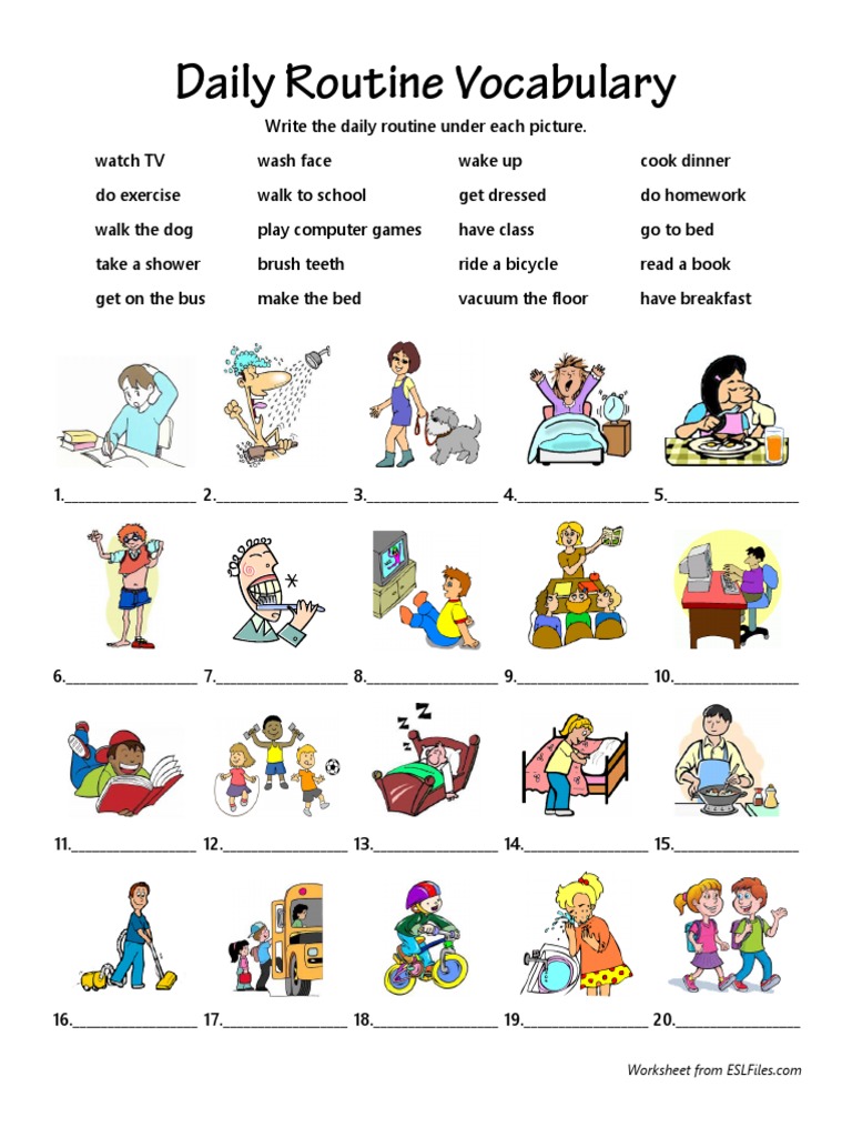 Daily Routine Vocabulary Worksheet | PDF | Self-Improvement