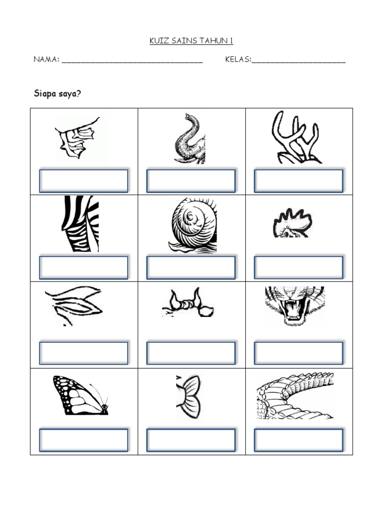 Kuiz Sains Pdf