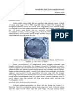 Nannofosil (Coccolith)