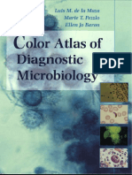 Color_Atlas_of_Diagnostic_Microbiology.pdf