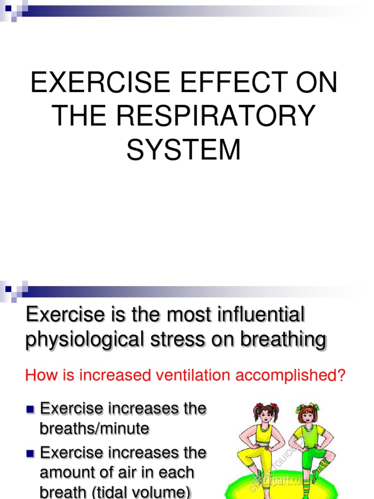 EXERCISE EFFECT ON THE RESPIRATORY SYSTEM (4).ppt Breathing