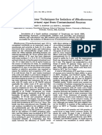 Isolation of Rhodococcus