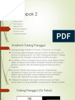 Asper Anatomi Panggul