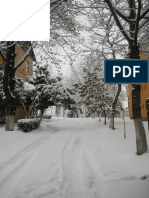 Winter Images PDF