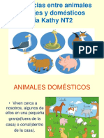 Animalesdomesticosysalvajes 130524102215 Phpapp01