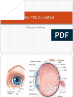 Indra Penglihatan